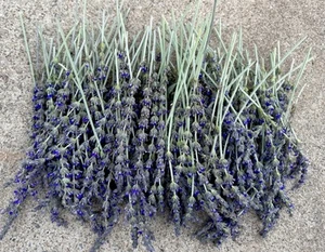 50 STEMS AT LEAST ORGANIC AIR DRY LAVENDER FLOWERS - Picture 1 of 12