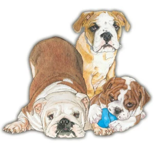 Bulldog Magnet Wooden - Picture 1 of 1