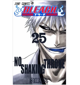 Manga - Bleach (25) Japanese Version - Picture 1 of 2