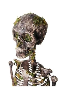 34” Tall Moss Skeleton Halloween Prop (sh) - Picture 1 of 3