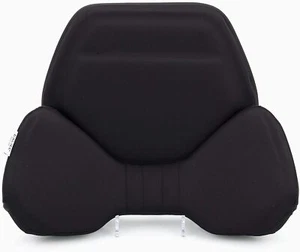 NEW EXGEL Lumbar Support Cushion – Car Seat Back Pain Relief Japan - Picture 1 of 4