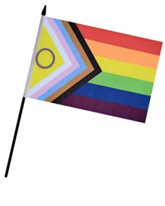Intersex Progress Pride Handflagge (9" x 6") - Bild 1 von 3