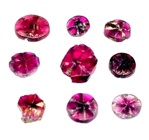 9 pcs Natural Ruby Trapiche Untreated Collectable Myanmar Burma Rare Gem H830 - Picture 1 of 4