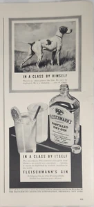 1941 Fleischmanns gin Vintage Ad in a class by himself - Picture 1 of 2