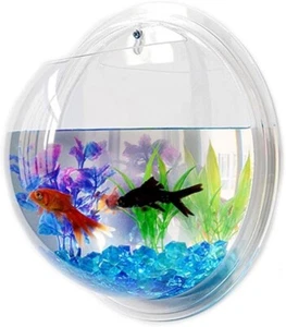 Aquarium Hanging Wall Mounted Fish Bowl Acrylic Fish Bowl for Water Plants (7") - Picture 1 of 7