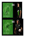 Autogrammkartensatz Werder Bremen 2010-11 18 Karten Original Sign(3265)