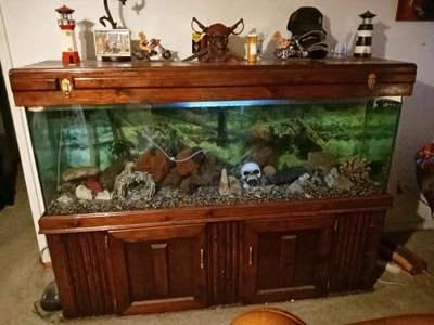 Filtros de tanque de 200 galones en la parte inferior y superior todo incluye 2000,00 Foto 1 de 3