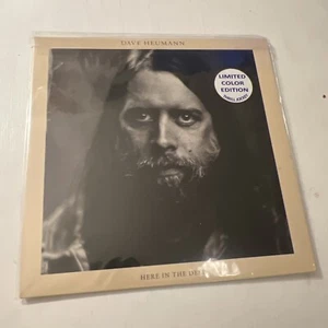Here in the Deep Dave Heumann (Thrill Jockey Records 2015) Yellow Disc MINT - Picture 1 of 10