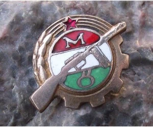 Antique Munkasorseg Hungary Paramilitary Machine Gun Emblem Members Pin Badge - Picture 1 of 2