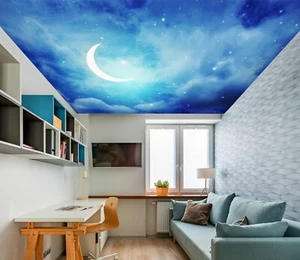 3D Mondlicht H2256 Decke Tapete Wandbilder Wandbild Aufkleber Deco Erin 23 - Picture 1 of 5