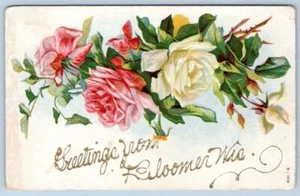 1908 GRUSS VON BLOOMER WISCONSIN GEPRÄGTE ROSEN GLITZER ZU CHETEK POSTKARTE - Bild 1 von 2