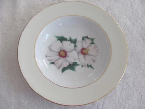 Narumi Japón NAR9-Flores Blancas -8 1/2" Sopas Cuencos - Juego de 4 - Imagen 1 de 5