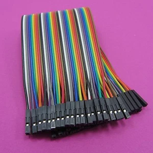 40 Pin Spacing Headers 20cm Dupont Female to Female Wire Cable 2.54mm Jumper - Picture 1 of 3