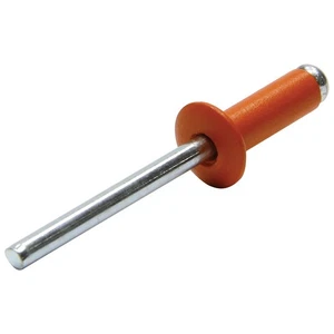 Small Head Rivet Orange 250pk ALL18005 Dunebuggy & VW - Imagen 1 de 1