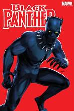 BLACK PANTHER #2 MIKE MAYHEW VAR - In Store: 07/19/23