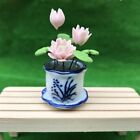 AirAds Dollhouse 1:12 miniatures lotus in pot clay green plant flowers H2"