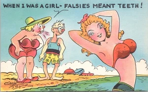 HUMOR PC-WHEN I WAS A GIRL- FALSIES MEANT TEETH! - Picture 1 of 2