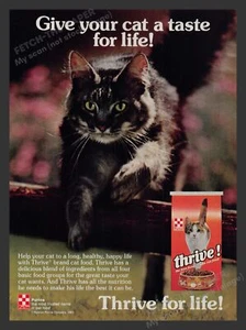 Purina "Thrive" Cat Food Cat Jumping Over Log 1980s Print Advertisement Ad 1983 - Picture 1 of 1