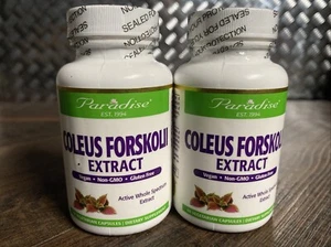 Lot of 2 Paradise Herbs Coleus Forskolii EXTRACT 60 x 2 (120) Caps Vegetarian - Picture 1 of 4