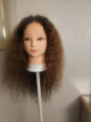 High Quality regular Top 22 to 24" curly wavy 100% Virgin Human Hair Lace Wig  - Image 1 of 4