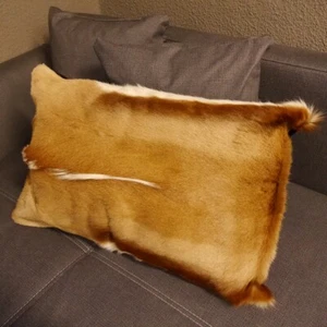 1 Stück Springbock Fellkissen Fell Afrika Antilope Tierfell Sofa Kissen 60 x 40  - Bild 1 von 7