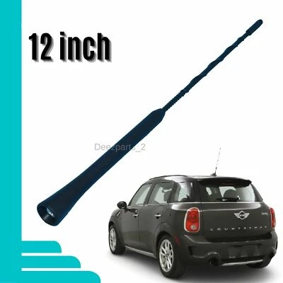 12" Antenna Black for Mini Cooper Countryman 2011-2016 - Image 1 of 4