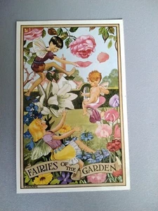 Fairies of the Garden, M Sherborne postcard - Picture 1 of 2