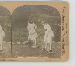 Calves Crossing the Stream Women Universal Comic Genre Stereoview - Picture 1 of 2