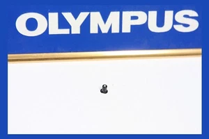 210256 OLYMPUS OM-2S PROGRAMA REBOBINADO BOTÓN PIEZA DE REPARACIÓN USADO - Imagen 1 de 2