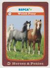 RSPCA Trading Card x 1 - HORSES & PONIES - Number 134 WELSH PONY - Matte