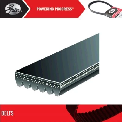 Serpentine Belt Gates For 1993-1995 GMC G1500 V6-4.3L - Image 1 of 4