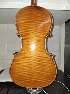 Old Violin Labelled Klotz