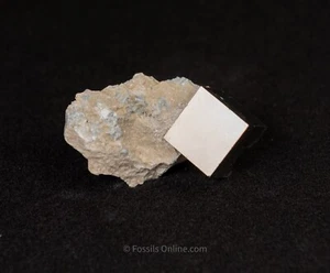 Pyrite Cube in Matrix La Rioja Spain 6404 - Picture 1 of 2