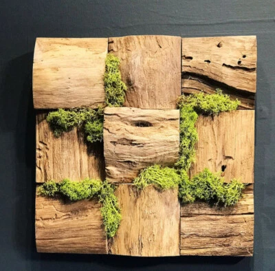Teak Root Wooden Moss Art Square - Moss Wall Art - Image 1 of 4