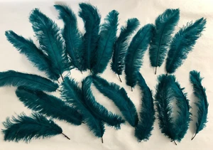 20 x NATURAL OSTRICH FEATHERS FOR CRAFT WEDDING, COSTUME DECORATION TEAL35-40 CM - Picture 1 of 6