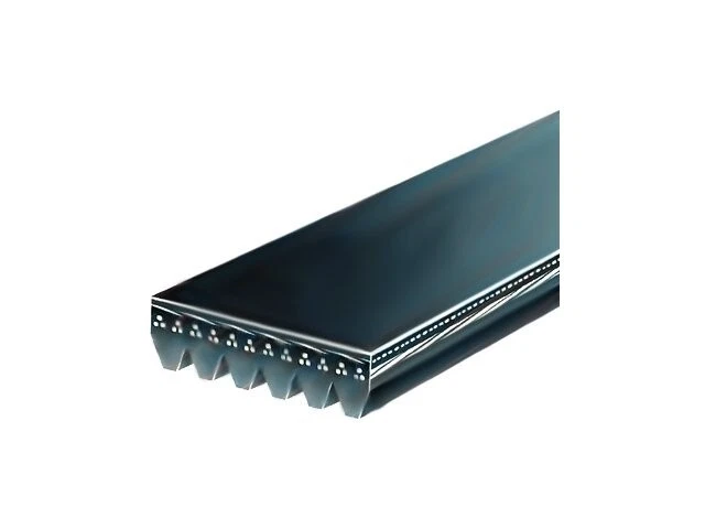 Multi Rib Belt For AM General Hummer Lancer Outlander P30 P3500 Dakota BB55W7 Foto 1 de 1