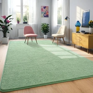 Sage-Green Area Rugs for Bedroom Living Room 4x6 Feet Indoor Memory Foam Rug - Picture 1 of 9
