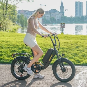 Ebike 48V 15Ah Electric Bike 25km/h Trekking Ebike 750W Ladies E Mountain Bike - Picture 1 of 23
