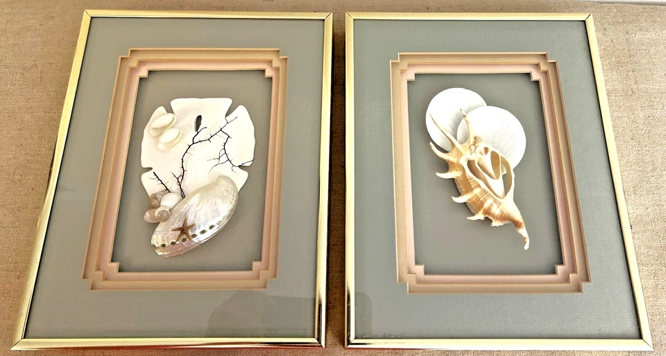 SEASHELL SHADOWBOX FRAMED ART WALL HANGINGS - Image 1 of 4