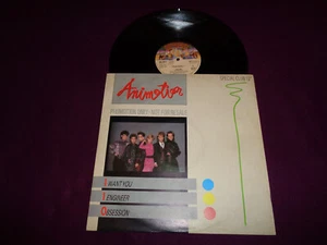 MAXI 12' PROMO ANIMOTION / I WANT YOU / CASABLANCA EUROPE PRESS SYNTH POP 1986 - Picture 1 of 1