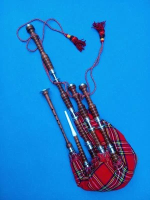 Gaitas Highland palo de rosa monturas plateadas cubierta Royal Stewart acabado marrón gaita Foto 1 de 4