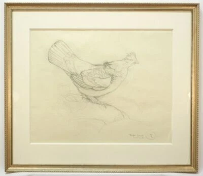 JAMES FENWICK LANSDOWNE (RCA)(1937-2008) GRAFITO SOBRE PAPEL ESTUDIO UROGALLO CON VOLANTES Foto 1 de 4