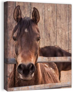 Farmhouse Rustic Wall Art for Bedroom Home Bathroom Decor for the Home Country H - Picture 1 of 7