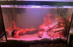 20 gallon High aquarium Starter kit with Sandfall and Driftwood - Picture 1 of 3