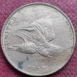 1857 Flying Eagle Cent 1c ERROR STRUCK THROUGH GREASE High Grade #84317 - Picture 1 of 2