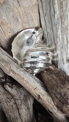 CHRISTOFLE Plateado Tonna Caracola Caracol Mar Francia COMO NUEVO Estado Foto 1 de 4