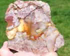 3.1 POUND COUNTY CANYON OPAL rough/agate//rock/specimen/mineral/stone