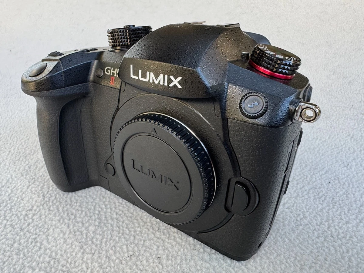 Panasonic LUMIX GH5 Digital Cameras for Sale | Shop New & Used