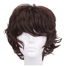 13 Inch Dark Brown Short Curly Anime Cosplay Wigs with Bang for Men Costume Hall