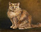 ✪ Original Oil Portrait Painting Selkirk Rex Longhair Artist Signed Cat Artwork